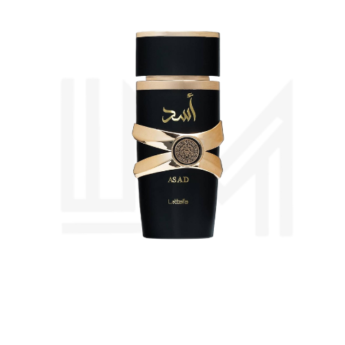 Lattafa Asad Parfum de luxe longue durée Parfum rafraîchissant Oud et Musc 100 ml